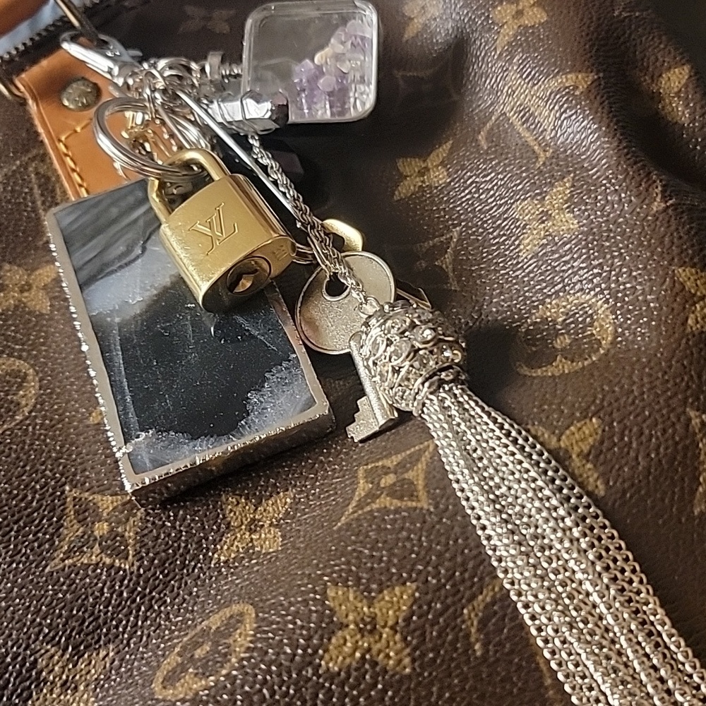 Louis Vuitton - Picture 16 of 17